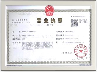 因中国地区业务拓展需要，2009年成立常州高森电气公司